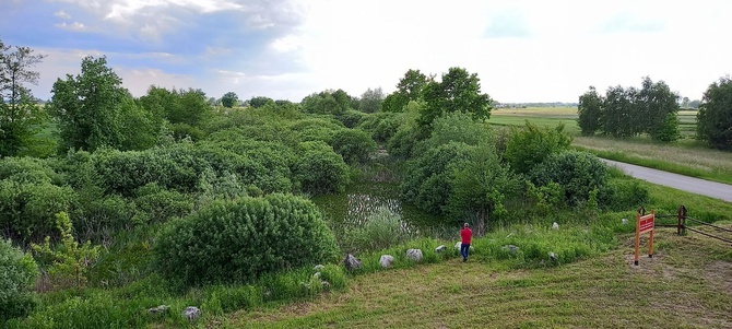 Wiślisko pod kopcem