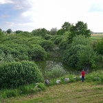 Wiślisko pod kopcem