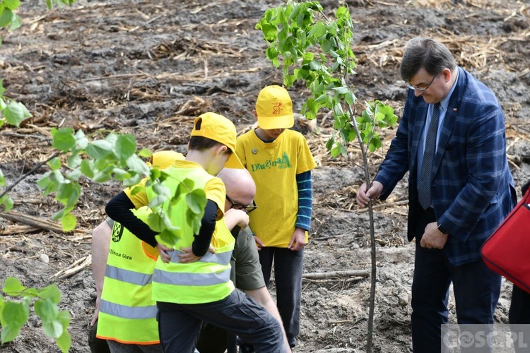 Akcja "Łączą nas drzewa"