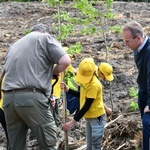 Akcja "Łączą nas drzewa"