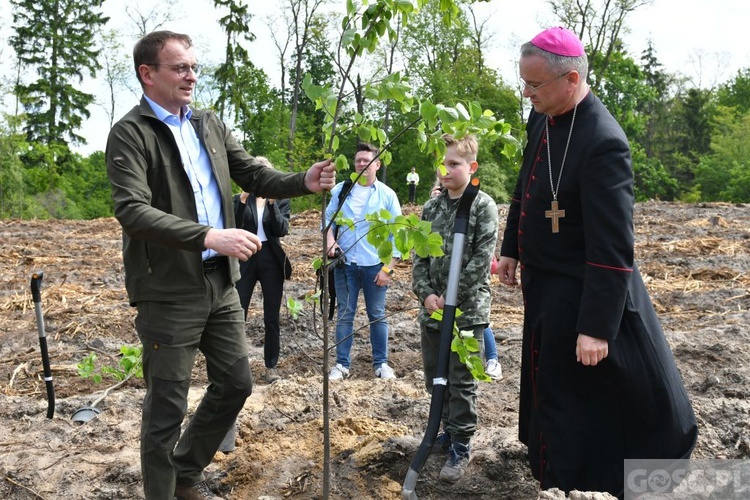 Akcja "Łączą nas drzewa"