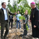 Akcja "Łączą nas drzewa"