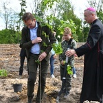 Akcja "Łączą nas drzewa"