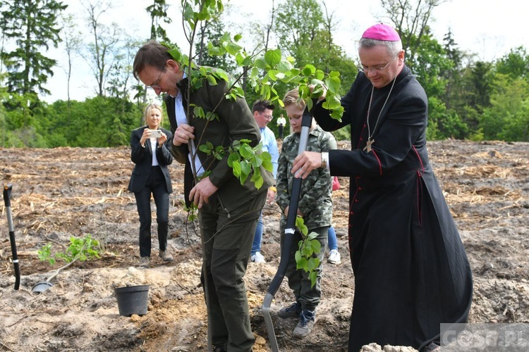 Akcja "Łączą nas drzewa"