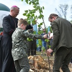 Akcja "Łączą nas drzewa"