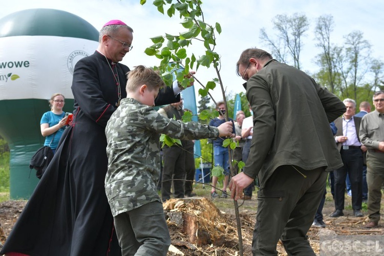 Akcja "Łączą nas drzewa"