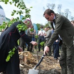 Akcja "Łączą nas drzewa"