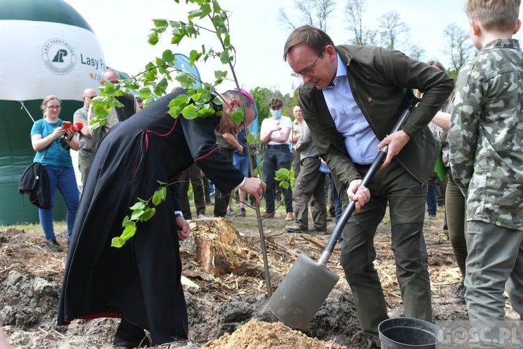 Akcja "Łączą nas drzewa"