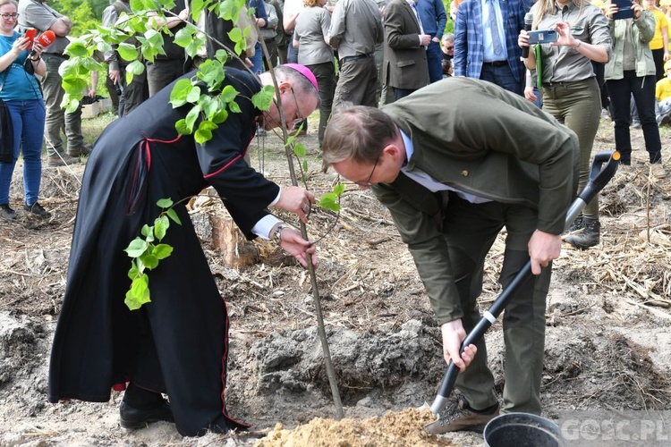 Akcja "Łączą nas drzewa"