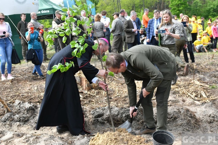 Akcja "Łączą nas drzewa"