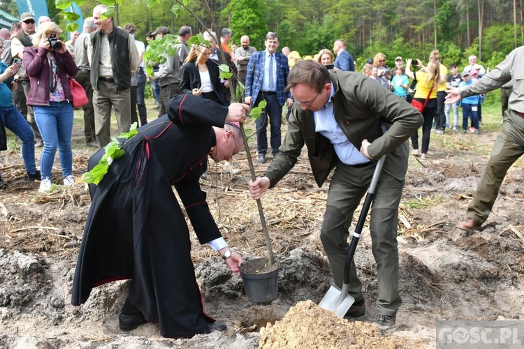 Akcja "Łączą nas drzewa"