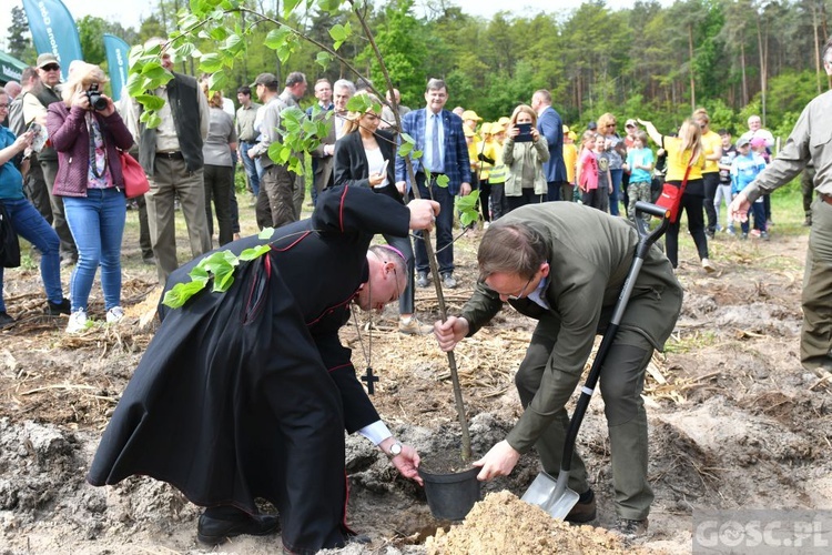 Akcja "Łączą nas drzewa"