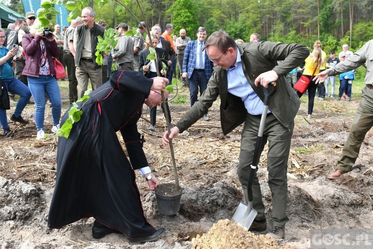 Akcja "Łączą nas drzewa"