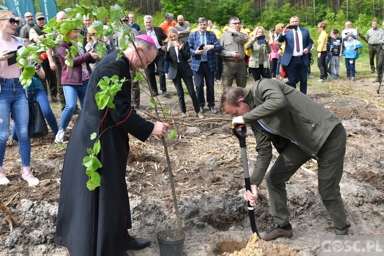 Akcja "Łączą nas drzewa"