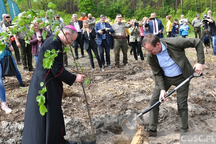 Akcja "Łączą nas drzewa"