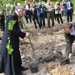 Akcja "Łączą nas drzewa"