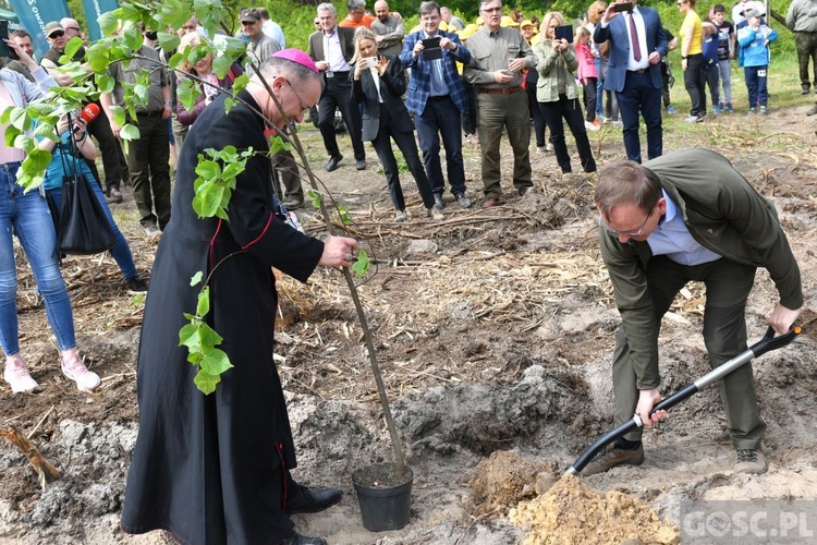 Akcja "Łączą nas drzewa"