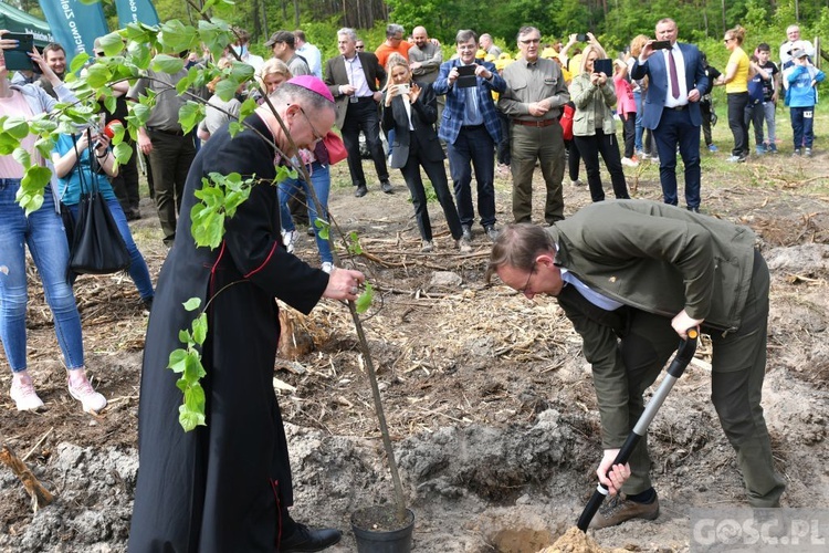 Akcja "Łączą nas drzewa"