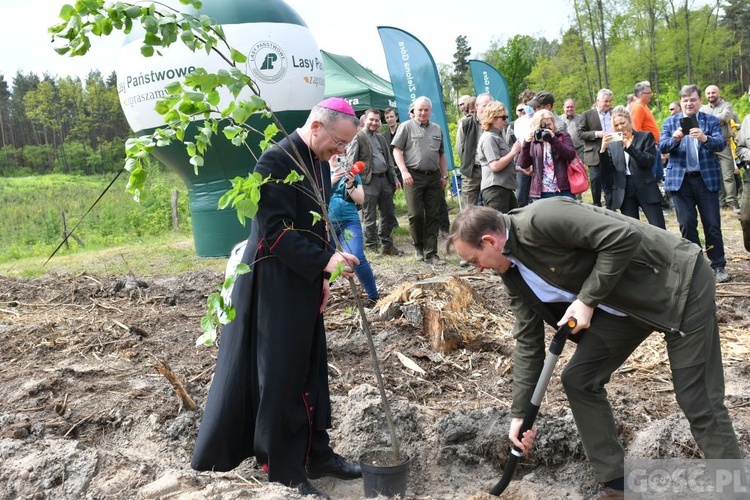 Akcja "Łączą nas drzewa"