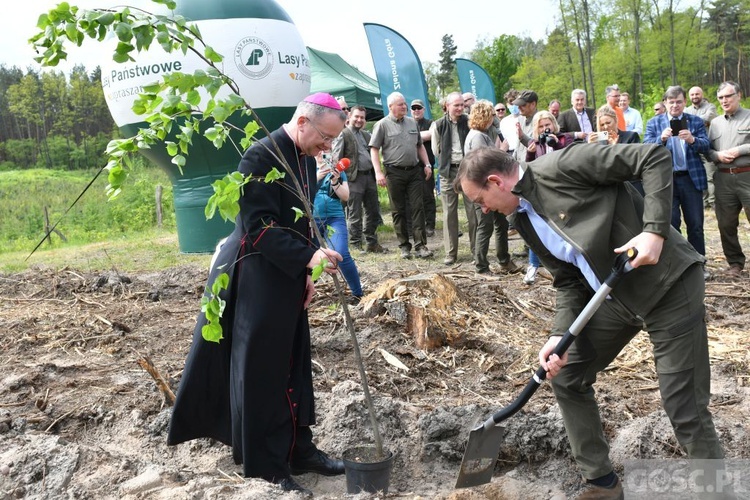 Akcja "Łączą nas drzewa"