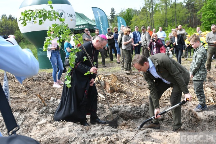 Akcja "Łączą nas drzewa"