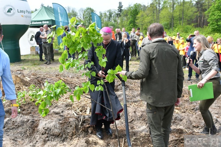 Akcja "Łączą nas drzewa"