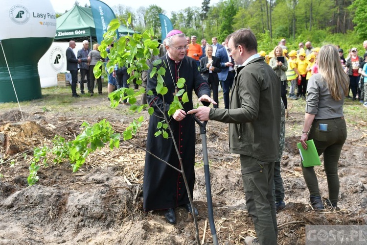 Akcja "Łączą nas drzewa"