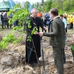 Akcja "Łączą nas drzewa"