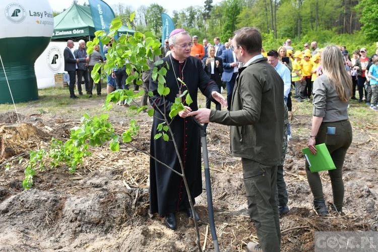 Akcja "Łączą nas drzewa"