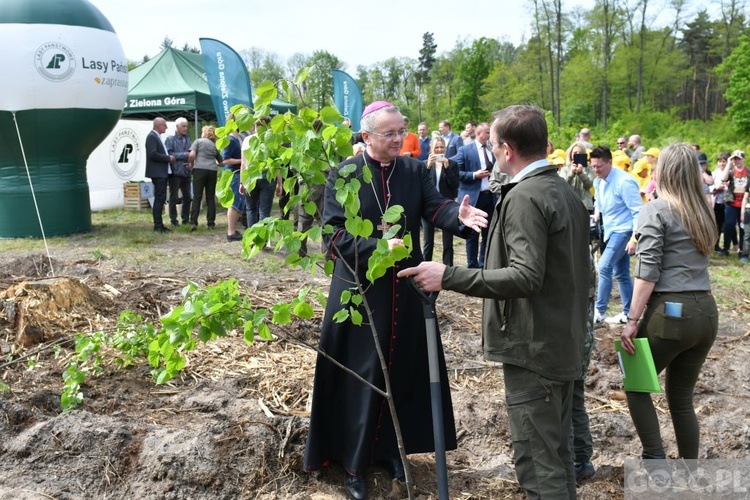 Akcja "Łączą nas drzewa"