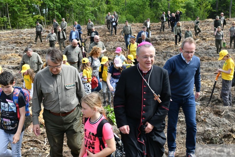 Akcja "Łączą nas drzewa"