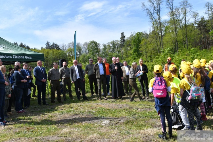 Akcja "Łączą nas drzewa"