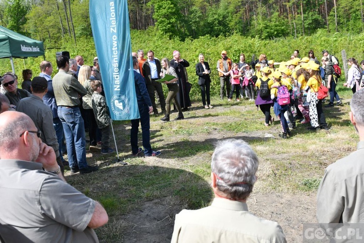 Akcja "Łączą nas drzewa"