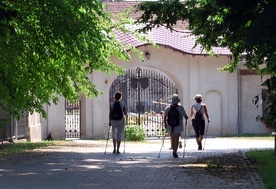 W sobotę indywidualna pielgrzymka nordic walking na Górę Świętej Anny