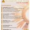 Rozpoczyna się Rok Eucharystii