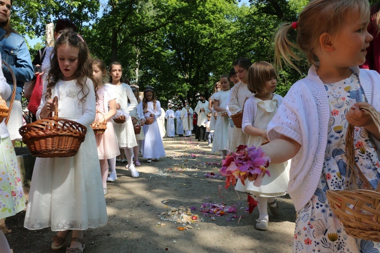 Boże Ciało 2021 w parafii św. Jadwigi na Kozanowie - piękne dywany