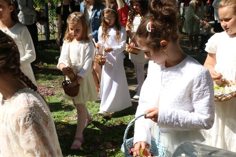 Boże Ciało 2021 w parafii św. Jadwigi na Kozanowie - piękne dywany