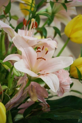 Boże Ciało u św. Wojciecha w Wałbrzychu