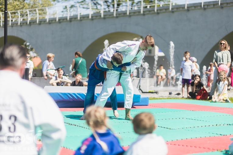 Piknik charytatywny dla chorej Amelki