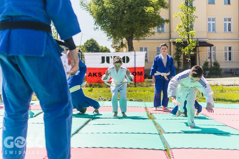 Piknik charytatywny dla chorej Amelki