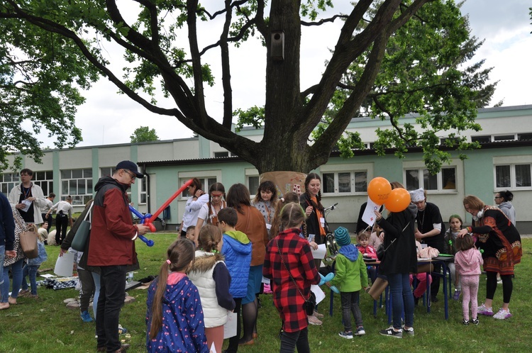 Piknik w Puławach