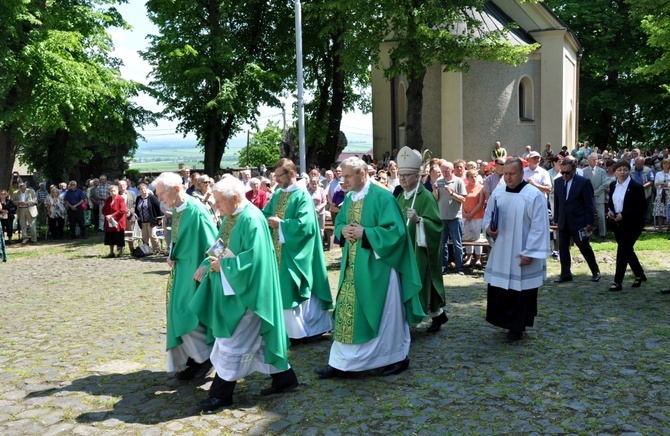 Pielgrzymka Mniejszości Narodowych i Etnicznych na Górę Świętej Anny