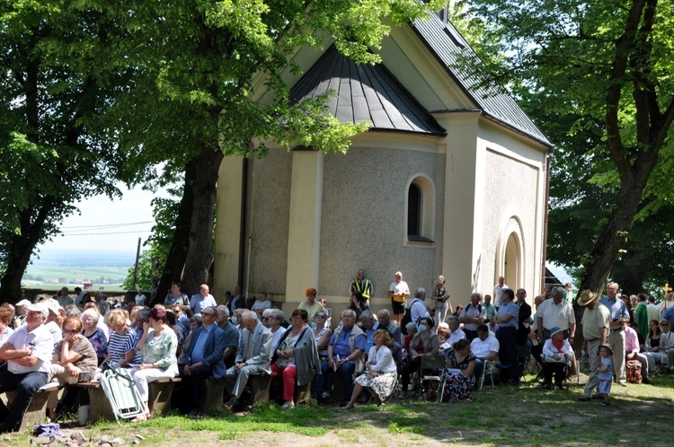 Pielgrzymka Mniejszości Narodowych i Etnicznych na Górę Świętej Anny