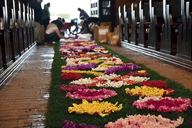	W układanie dywanu zaangażowało się wielu parafian. Niektórzy przynieśli kwiaty, inni dodatkowo spędzili kilka godzin w kościele, przygotowując dekorację.
