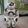 28.06.2021 | O robotach humanoidalnych, zakupionych w ramach projektu unijnego dla Centrum Pediatrii im. Jana Pawła II w Sosnowcu