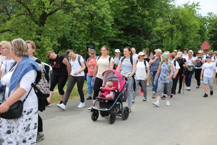 Pielgrzymka z Janowa Lubelskiego do Radecznicy