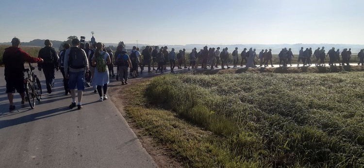 Pielgrzymka z Janowa Lubelskiego do Radecznicy