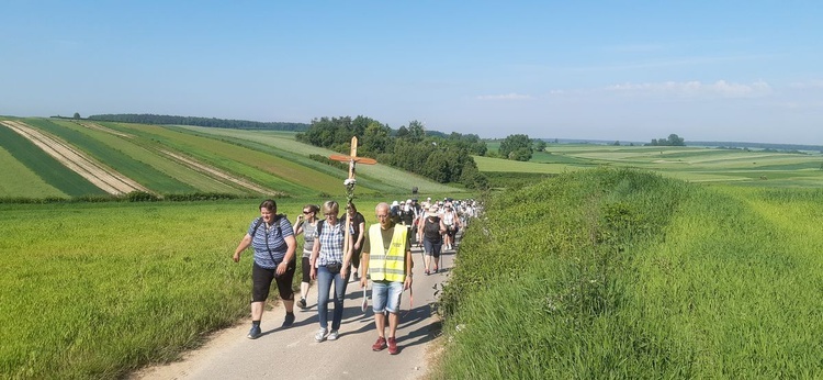 Pielgrzymka z Janowa Lubelskiego do Radecznicy