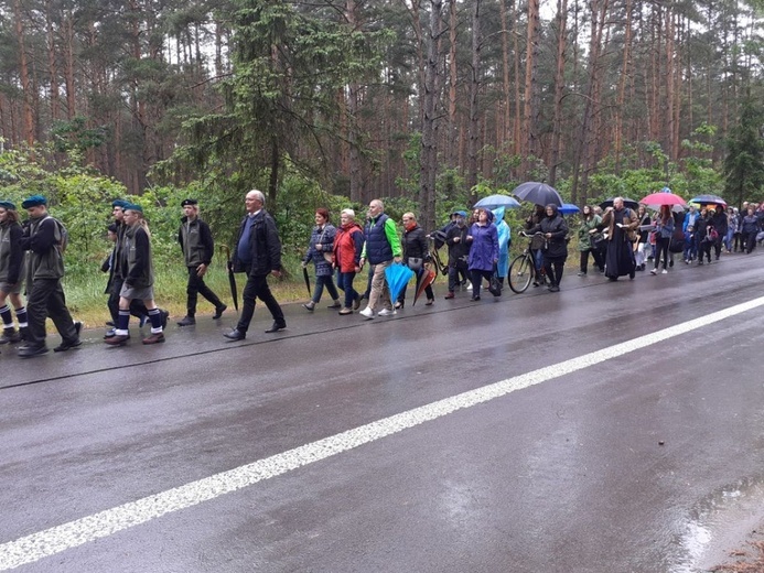 Pielgrzymka do św. Antoniego na Kruczek