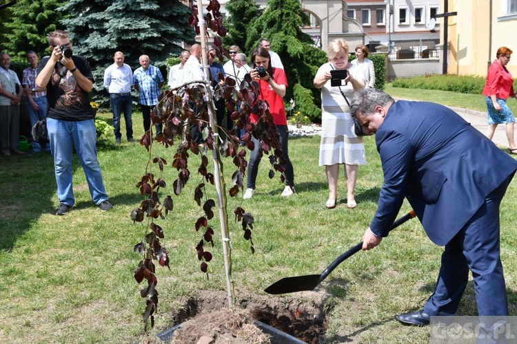 Poświęcenie zielonego "Zakątka u św. Mikołaja" w Głogowie